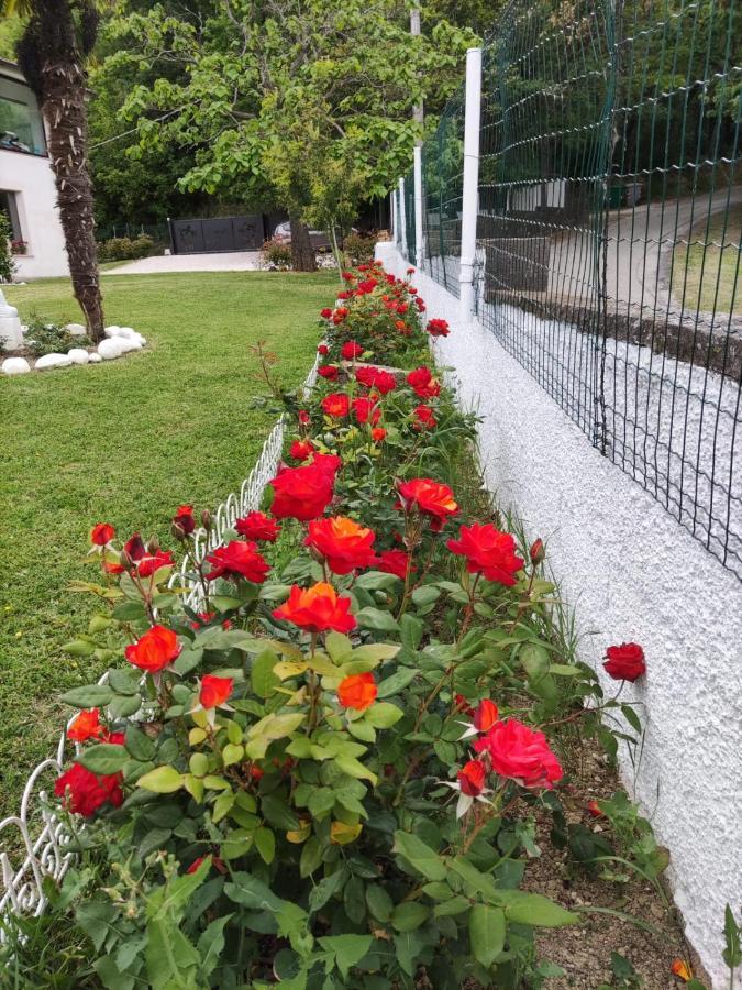 "Cara Pace" In Collina Per Famiglie Montefiore Conca Exterior foto